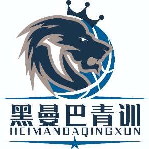 篮球教练队长训练计划书怎么写的_2